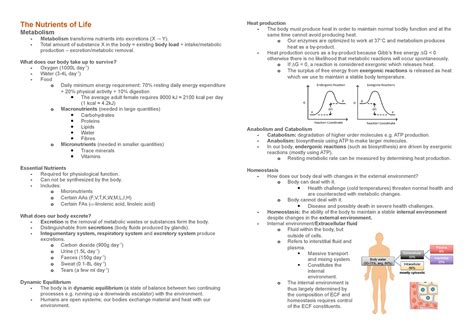 Lecture Nutrients Of Life - The Nutrients of Life Metabolism ...