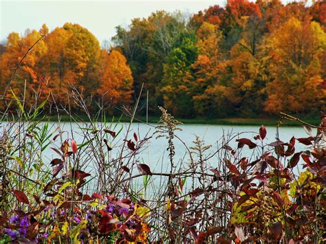 Potato Creek State Park, an Indiana State Park located near Bremen ...