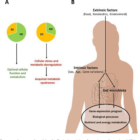 [PDF] Importance of Nutrients and Nutrient Metabolism on Human Health ...