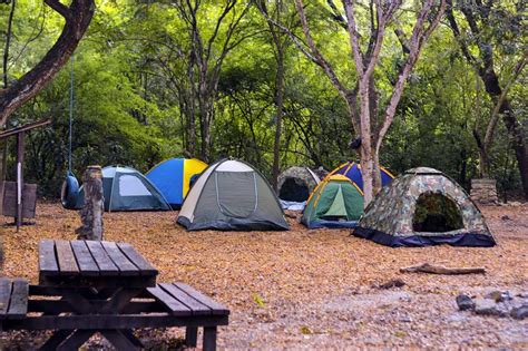 Campamentos - Bosque Cerro Blanco