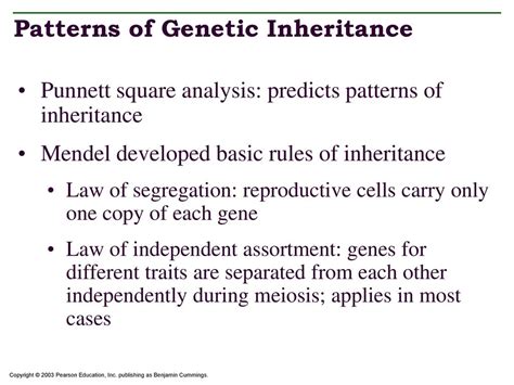 CHAPTER 19 GENETICS AND INHERITANCE - ppt download