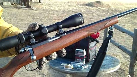 The 5 Best Scopes For 22 Mag Rifle - Gun Goals