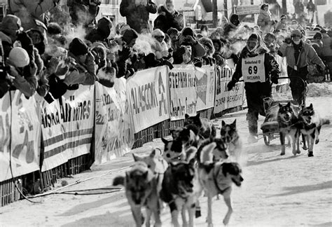 OG’s Complete List of Alaska Iditarod Winners and Lead Dogs - Online ...