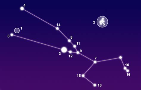 Constellation Taurus - The Constellations on Sea and Sky