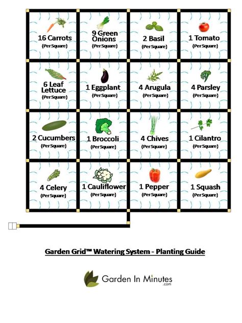 Comprehensive Plant Spacing Chart & Plant Spacing Guide