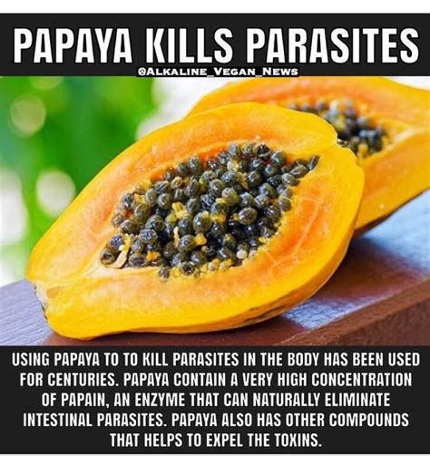 Make sure you buy organic | Papaya health benefits, Papaya seeds, Healthy