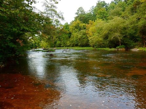 40 Nottoway River in Greensville County