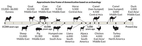 DNA evidence is rewriting domestication origin stories