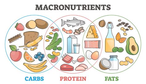 Low Carbohydrate Diet - Gastroenterologist in Victoria, TX