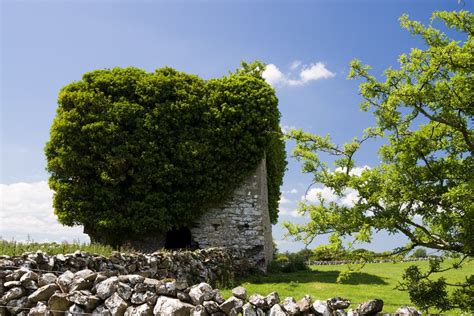 Castles In Galway Ireland - Castles Near Galway - Galway Castles | Galway