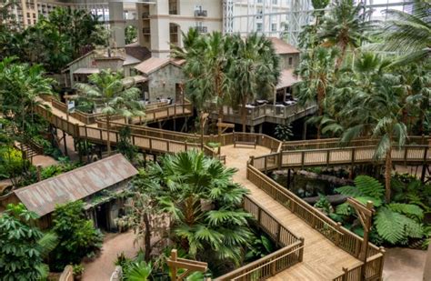 6 Things To Do At Gaylord Palms Orlando Resort