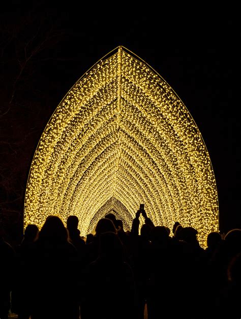 Chicago Botanic Garden Introduces Lightscape for 2019 Holiday Season