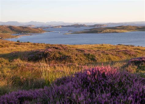 Legacy of Clan Macleod: Exploring History and Heritage