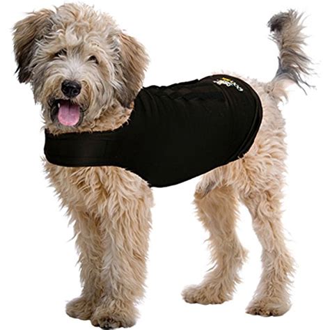 Best Dog Anxiety Vests in 2020 (And Scientific Proof on How They Work)