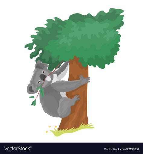 Koala eats eucalyptus Royalty Free Vector Image