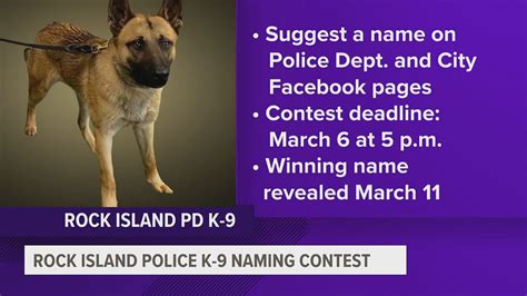 Rock Island Police Department holding naming contest for new K-9 | wqad.com