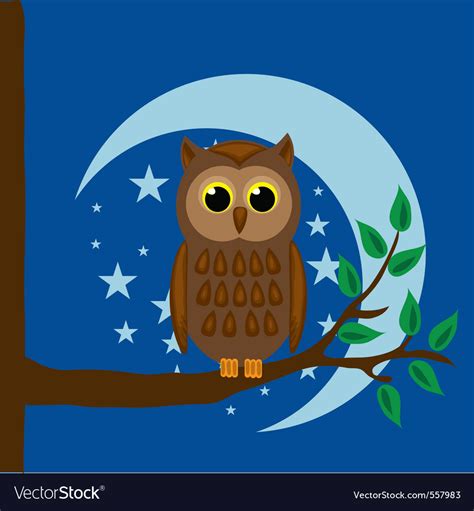 Night owl Royalty Free Vector Image - VectorStock