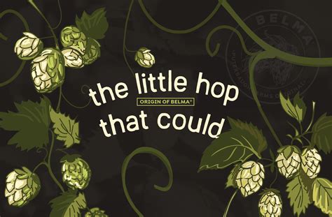 The Origins of Belma – Hops Direct