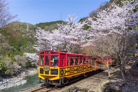 Sagano Scenic Railway - Touch of Japan