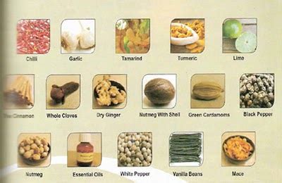 Traditional Sri Lanka Foods: Sri Lankan Spices