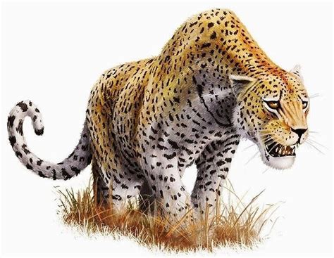 Panthera Palaeosinensis