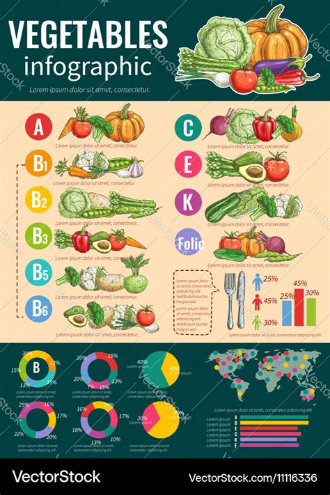 Healthy vegetables and vitamins infographics Vector Image