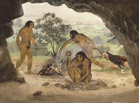 Homo erectus: Early humans were able to speak and crossed sea on boats ...