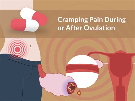 Cramping Pain During or After Ovulation? Are You Pregnant?