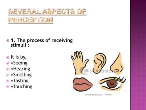 PERCEPTUAL PROCESS