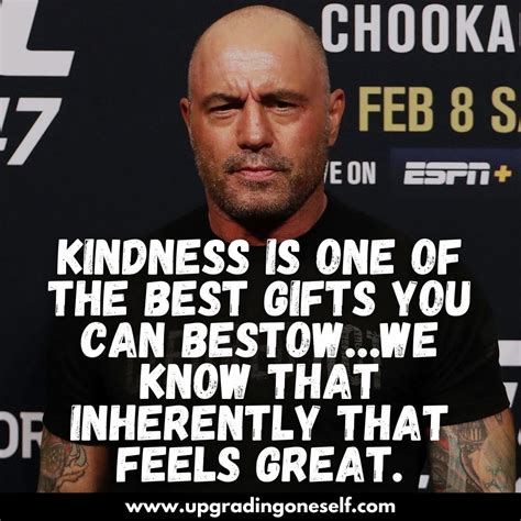 Top 17 Quotes From Joe Rogan With Power-Backed Motivation