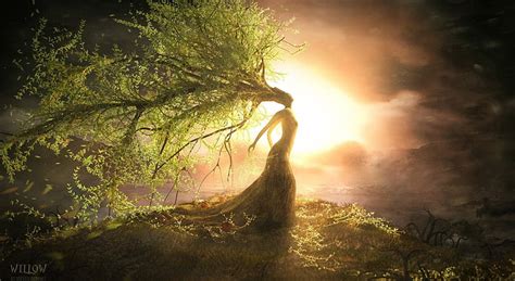 HD wallpaper: Fantasy Willow, woman tree wallpaper, Artistic, plant, beauty in nature ...