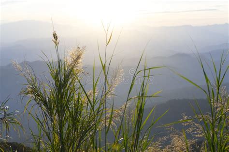 Panoramic Scenery of Mountains at Sunset Stock Photo - Image of shadows, pine: 122411960