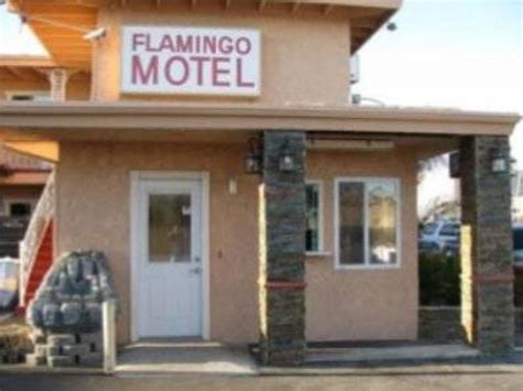 Flamingo Motel Oxnard in Oxnard (CA) - Room Deals, Photos & Reviews