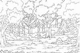 Forest Trees Coloring Pages sketch template