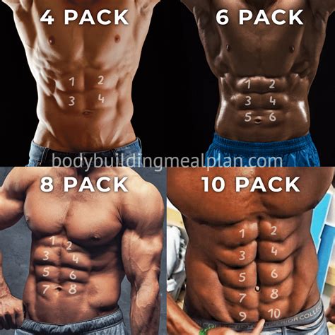 4 Pack Abs vs 6,8,10 Pack: Men & Women Genetics, Body Fat Percentage