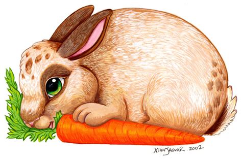 Rabbit Eating Carrot Drawing at GetDrawings | Free download