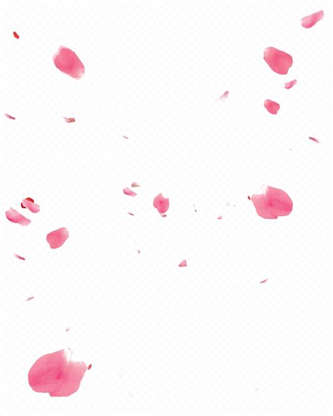 Falling Rose Petals PNG File PNG, SVG Clip art for Web - Download Clip Art, PNG Icon Arts