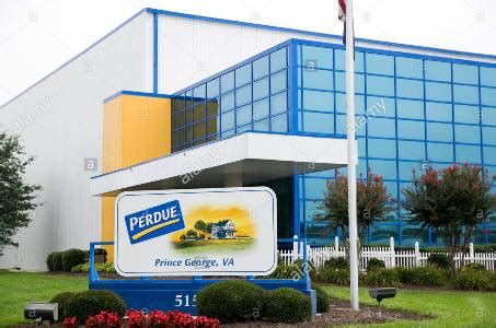 Perdue Farms Corporate Office Headquarters - Phone Number & Address