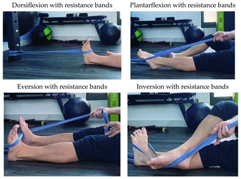 Strength training exercises. | Download Scientific Diagram