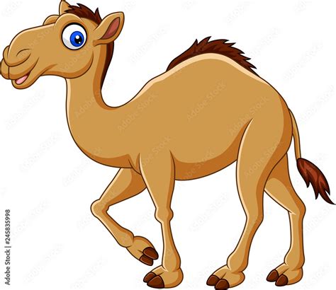 Cartoon camel isolated on white background Stock Vector | Adobe Stock