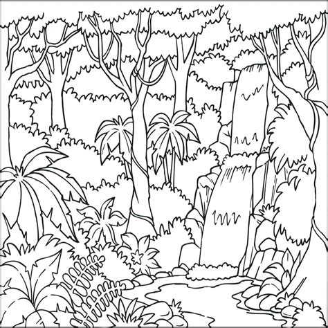 Tropical Rainforest Drawing at GetDrawings.com | Free for personal use ...