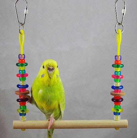 Parakeet/Budgie, Finch, Parrotlet Size Abacus Swing - Toy for small birds | Parrotlet, Homemade ...