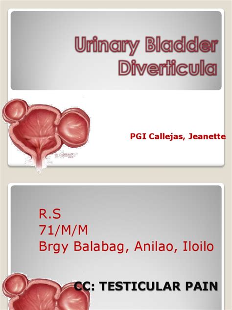 Bladder Diverticula | Urinary Tract Infection | Urinary Bladder