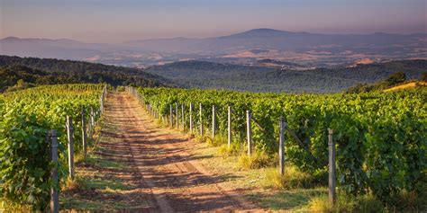 Hiking in Tuscany - 10 Enchanting Adventures on Foot