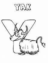 Letter Y Is For Yak Coloring Page  Bulk Color Pages sketch template