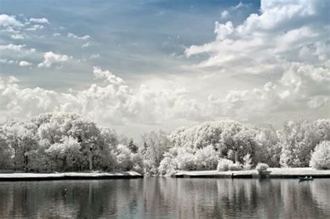 Infrared Photography Tutorial: Guide to Camera Settings & IR Filters