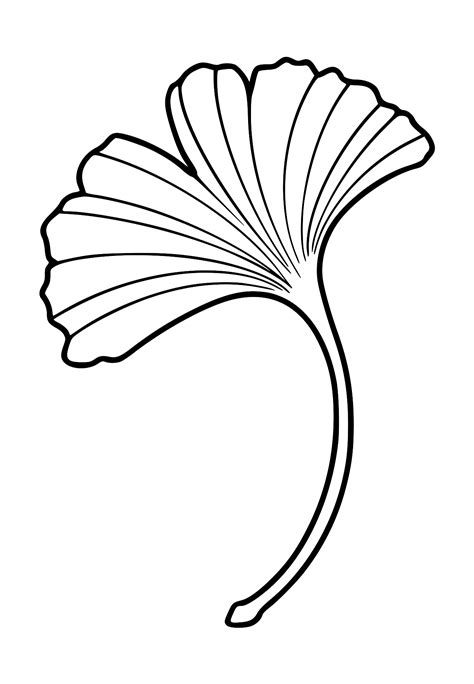 Ginkgo Leaf Tattoo PNG Transparent SVG Vector | OnlyGFX.com