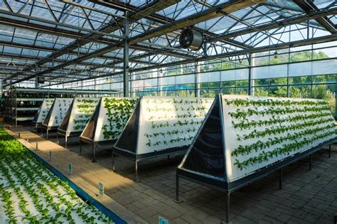 Amazing Aeroponics System Designs