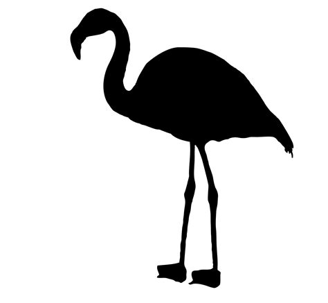 Flamingo Bird Silhouette Clipart Free Stock Photo - Public Domain Pictures