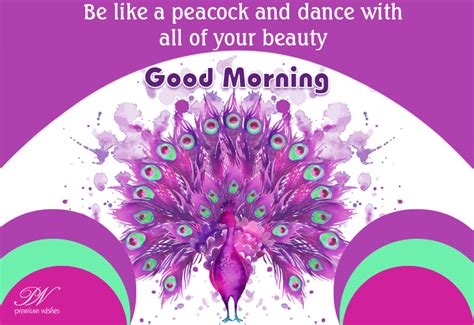 Good Morning - Be a peacock - Premium Wishes